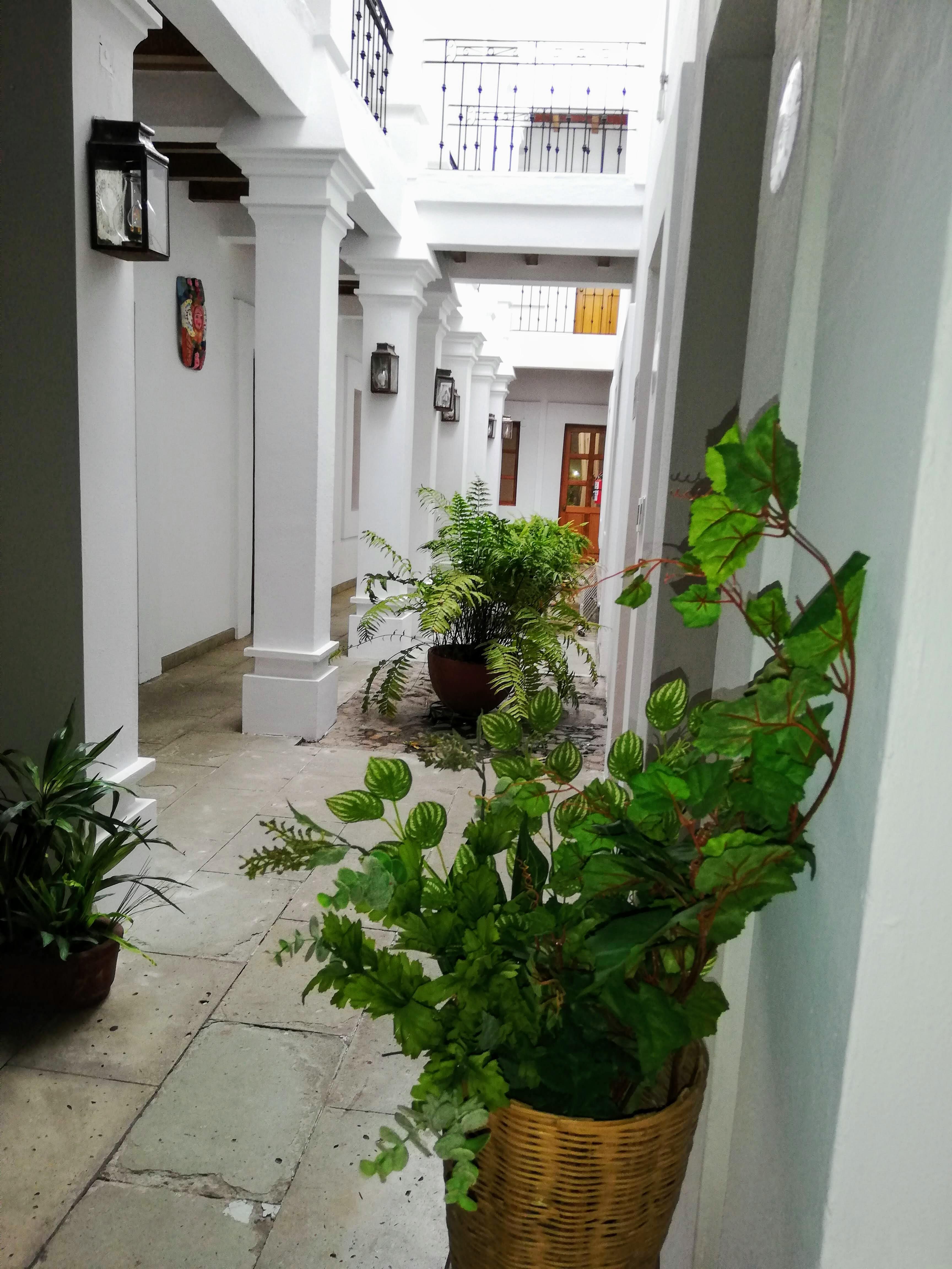 โฮเต็ล ไอทาน่า Hotel Oaxaca ภายนอก รูปภาพ