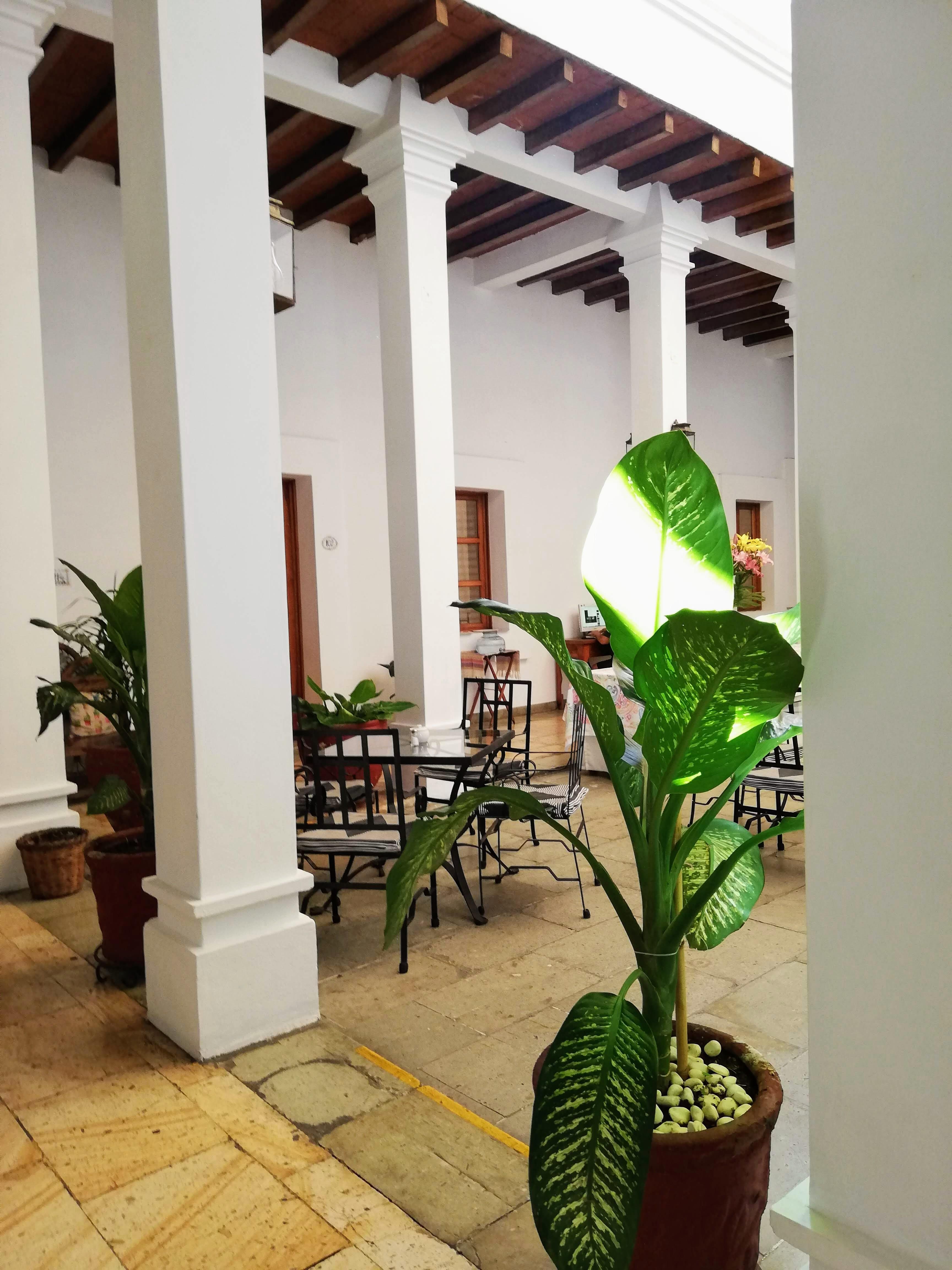 โฮเต็ล ไอทาน่า Hotel Oaxaca ภายนอก รูปภาพ